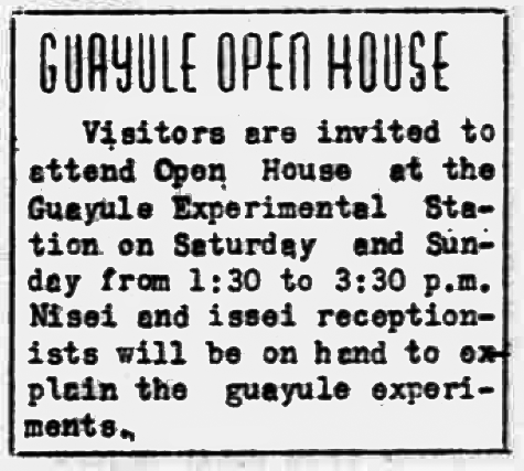 guayle open house